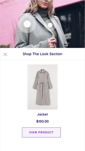 Shop The Look Section